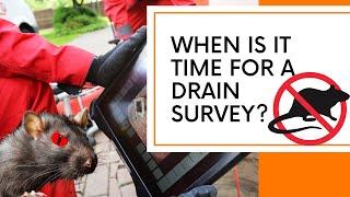 My RATS KEEP COMING BACK! - Time for a DRAIN SURVEY?