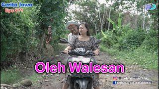 OLEH WALESAN || Eps 271 || Cerita Jawa