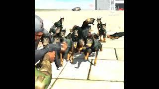 Gaming # safe a life killing a dog with Ak47  #shorts  #s D_gaming #shortvideos ferrfire and game