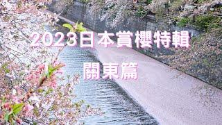 2023日本賞櫻特輯-關東篇(中目黑 | 新宿御苑 | 小田原城 | 大石寺 | 真岡鐵道) | Japan Cherry Blossom 2023:Kanto Region Top 5