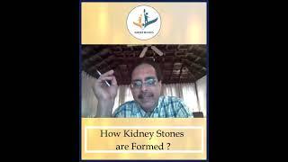 Bladder Wellness Campaign : Dr. Krishnamoorthy advice on Formation of Kidney Stones