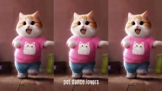 Cat videos funny dance Videos for catsv#funnycats #dancingcat #catlovers 122