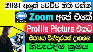 Zoom App Profile Picture | ඇප් එකට ඔයාගෙ පින්තූරයක් දාගන්න විදිය | DM SL | Sinhala