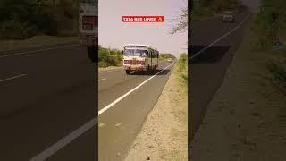 TATA BUS ENTRY ।#shortsfeed #ytshorts #tatabus