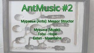 AntMusic #2