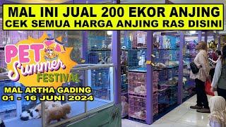 Mal Ini Jual 200-an Ekor Anjing Ras - Ini Harga & Jenis Stoknya