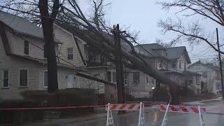 Large tree comes down on home in Hillside, New Jersey