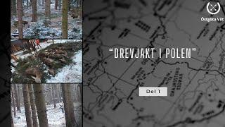 Drevjakt i Polen, del 1 | Driven hunt in Poland | Östgöta Vilt | Jakt |