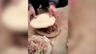 Viral Afghan grape preservation technique called “Kangina” explained.