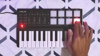 Heat Waves - Glass Animals (MIDI Keyboard Cover) | Live Looping | Worlde Panda Mini