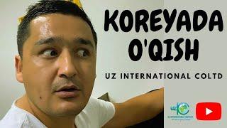 Koreya Uz International kompaniyasi | Ajoyib video rolik| Koreyada o'qish haqida #shorts #Uzbekistan