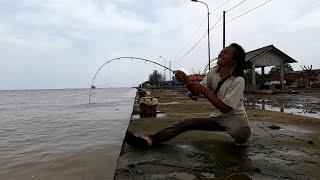 Berani Mencoba!! ini yg terjadi, ketika mancing dgn Udang hidup