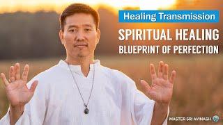 Spiritual Healing | The Blueprint of Perfection | Master Sri Avinash