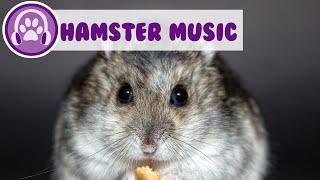 HAMSTER MUSIC - Songs to Make Your Hamster Come to You!