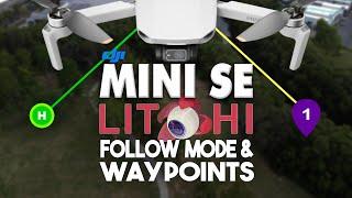 DJI Mini SE - Follow Me Modes & Waypoints - Litchi Review | DansTube.TV