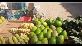 Куба Варадеро Цены на ФРУКТЫ местный фруктовый Рынок Санта-Марта Cuba Fruit Market 8 сентября 2019!!