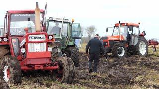 Vintage Tractor Plowing Day 2024 | Muddy Field