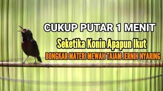 MASTERAN KONIN AGAR GACOR DAN BONGKAR ISIAN 100% AMPUH FULL TEMBAKAN MEWAH