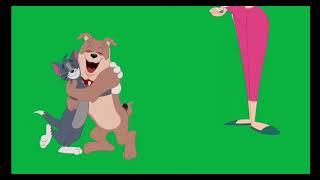 tom and spike fight !tom and jerry green screen !no copyright !