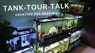 Tank Tour Talk with Creative Pet Keeping (and Banana!)