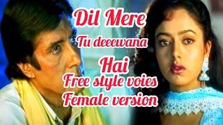 Dil Mere Tu Deewana Hai | Sooryavansham | monerkotha studio 786 (free style voies)