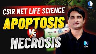 CSIR NET 2024 | Apoptosis Vs Necrosis I 5 minutes Concepts I IFAS