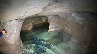 Massive Albino Fish Found Deep In A River Cave