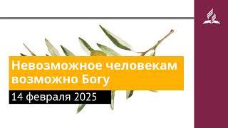 14 февраля 2025. Невозможное человекам возможно Богу. Под сенью благодати | Адвентисты