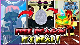 How To Get *FREE* Dragon Fruit Rework Fast In Blox Fruits Update 24 (REAL NOT CLICKBAIT!)