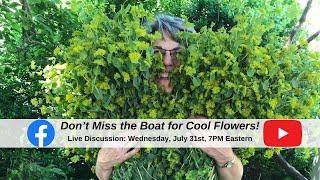 Don't Miss the Boat for Cool Flowers!