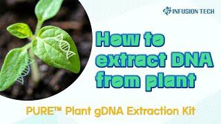 Infusion Tech │How to extract DNA from plant