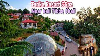 Tarika Resort &Spa |Near famous temple of Chail|Kali Tibba|Himachal pradesh |lush green area