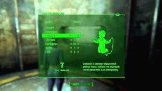 My Fallout 4 Survival Mode SPECIAL Build