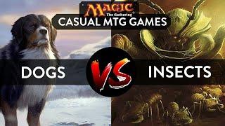 Casual MTG Gameplay: Dog tribal deck vs Mono Green Insect deck