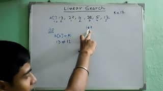 Linear Search Algorithm || An Example