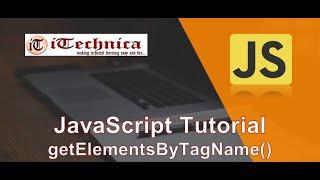 20. JavaScript Tutorial | getElementsByTagName() Method with example