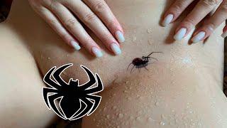 Exciting Temporary Tattoo for Spider-Man Lovers / Accessible Step-by-Step Guide!