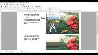 Extract Image from PDF with Foxit Advanced PDF Editor