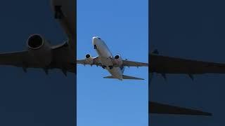 WestJet Boeing 737-7CT Departing from Toronto YYZ#shorts