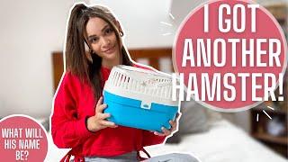 I ADOPTED A HAMSTER!//Getting my hamster and supply haul//TIANISIMONEX