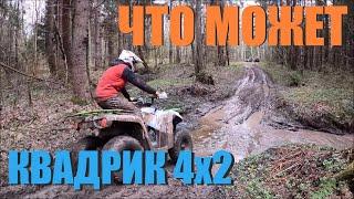 КВАДРОЦИКЛ АВАНТИС ФОРЕСТЕР НА БЕЗДОРОЖЬЕ!!!