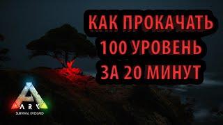 САМАЯ БЫСТРАЯ ПРОКАЧКА - КАК ПРОКАЧАТЬ УРОВЕНЬ- Ark Survival Evolved