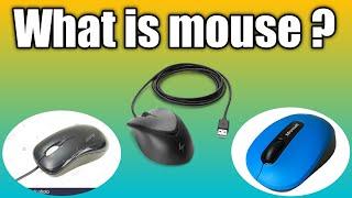 What is mouse || full explanation || YMS learners.