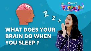 What Happens To Your Brain While You Sleep? | BYJU’S Fun Facts