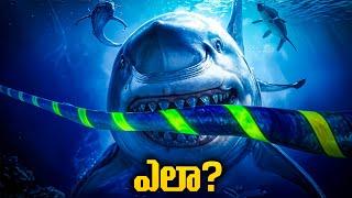 Who’s Destroying Undersea Internet Cables? in Telugu || DigKore