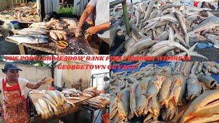 THE POPULAR MEADOW BANK FISH VENDORS WHARF IN GEORGETOWN GUYANA!