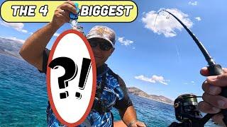 Light Game Fishing: The TOP 4 Massive Saddled Breams Of 2024 with Micro Poppers!