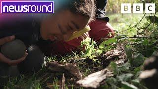 Outdoor School Lessons | Newsround