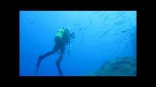 Azores dive trip