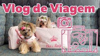 VLOG !!! VIAGEM COM AS DOGS PARA SÃO PAULO !